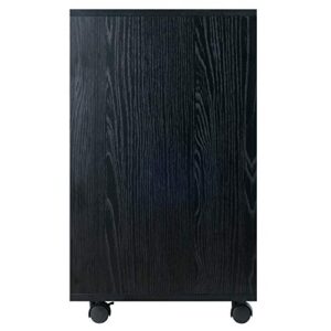 Winsome cabinets Wood Halifax Storage/Organization, Black