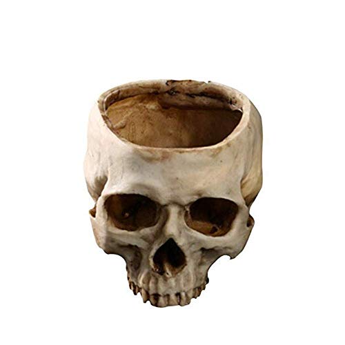 RMM Halloween Decoration Retro Human Skull Head Flower Pot Planter Bed Box Container Replica Home Bar Décor,Clear