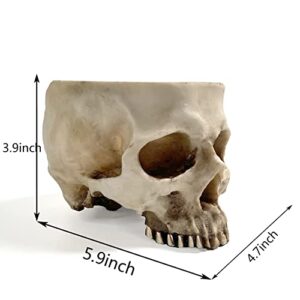 RMM Halloween Decoration Retro Human Skull Head Flower Pot Planter Bed Box Container Replica Home Bar Décor,Clear