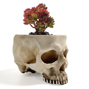 RMM Halloween Decoration Retro Human Skull Head Flower Pot Planter Bed Box Container Replica Home Bar Décor,Clear