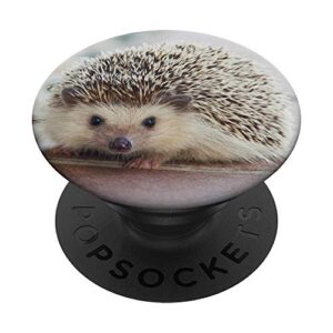 hedgehog popsockets popgrip: swappable grip for phones & tablets