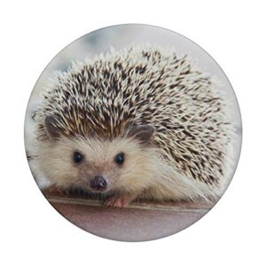 Hedgehog PopSockets PopGrip: Swappable Grip for Phones & Tablets