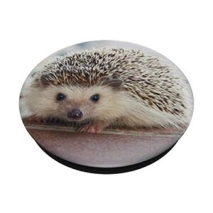 Hedgehog PopSockets PopGrip: Swappable Grip for Phones & Tablets