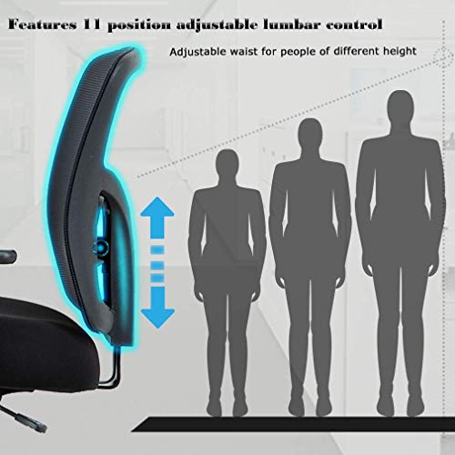 PayLessHere Office, Ergonomic Executive Desk Rolling Swivel Adjustable Arms Mesh Back Computer Lumbar Support Task Chair for Women, Men (Black)