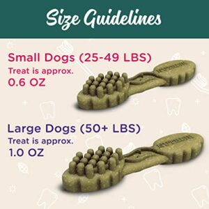 Rachael Ray Nutrish Smoochies Brushes Natural Long Lasting Dog Dental Chews, Apple & Mint, Large Size, 37 Treats, Grain Free