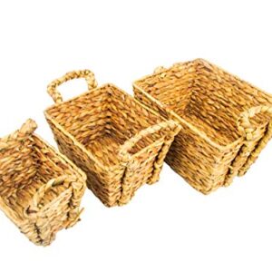 Water Hyacinth Braided Handled Nesting Baskets by Trademark Innovations (Set of 3)