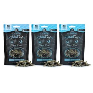 vital cat vital essentials minnows freeze-dried cat treats - all natural raw treat - made & sourced in usa - grain free - 0.5 oz resealable pouch - 3 pack