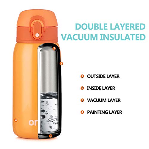 Sprouts Stainless Steel Vacuum Insulated Kids Water Bottle | 24 Hours Cold, 12 Hours Hot | Reusable Metal Water Bottle | Leak-Proof Sports Flask | 11 oz