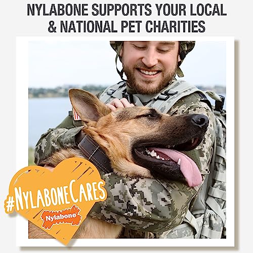Nylabone Healthy Edibles Puppy Natural Long Lasting Dog Chew Treats Lamb & Apple Small/Regular (12 Count)