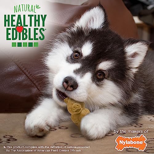 Nylabone Healthy Edibles Puppy Natural Long Lasting Dog Chew Treats Lamb & Apple Small/Regular (12 Count)