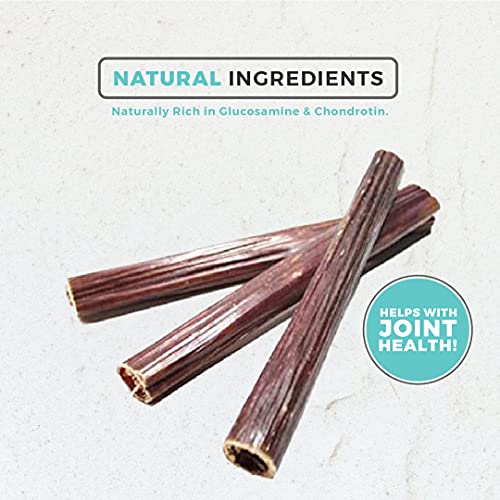 Dog Nip! 6" Taffy Sticks - Gullet Sticks -Esophagus Sticks (1 Pound) (Approx. 35-45 Pieces) Naturally Rich in Glucosamine and Chondroitin - Joint Health - Grass Fed Beef