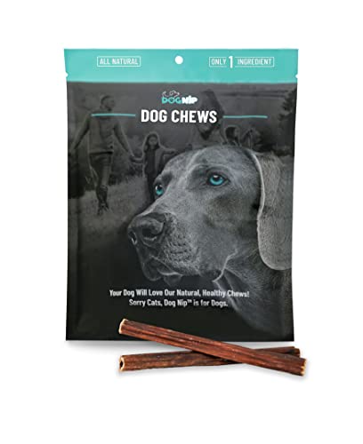 Dog Nip! 6" Taffy Sticks - Gullet Sticks -Esophagus Sticks (1 Pound) (Approx. 35-45 Pieces) Naturally Rich in Glucosamine and Chondroitin - Joint Health - Grass Fed Beef