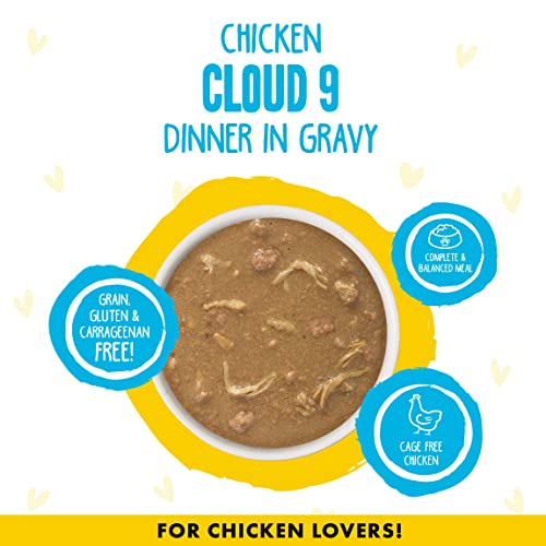 Weruva B.F.F. OMG - Best Feline Friend Oh My Gravy!, Chicken Cloud 9 with Chicken in Gravy, 5.5oz Can (Pack of 8)