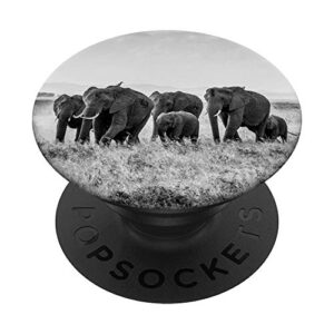 elephants popsockets popgrip: swappable grip for phones & tablets