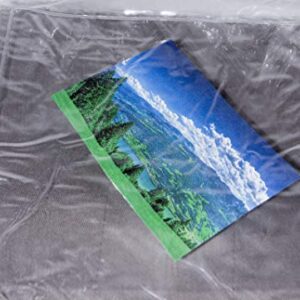 Clear Vinyl Zippered Storage Bags 9.5 x 11.5 x 3 Inch 5-Pack with 7.5" Insert Pocket