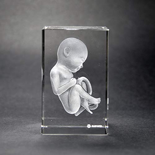 Warp United Crystal 3D Human Baby Fetus 1lb 2 x 2 x 3 Inches Optical Glass Paperweight