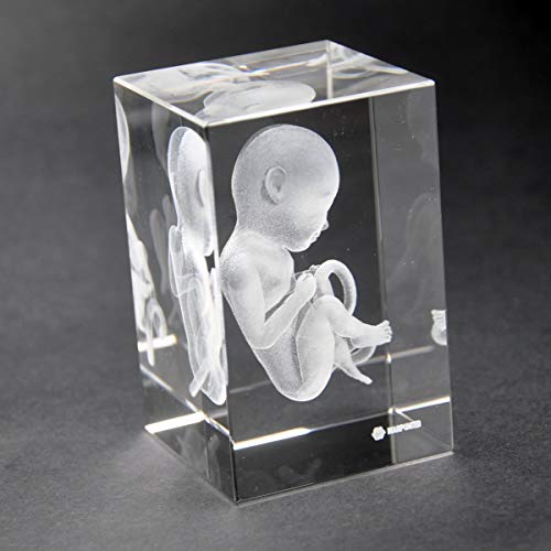 Warp United Crystal 3D Human Baby Fetus 1lb 2 x 2 x 3 Inches Optical Glass Paperweight