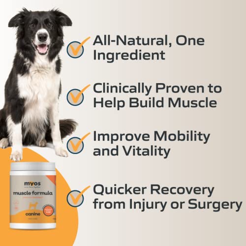 MYOS Canine Muscle Formula - Clinically Proven All-Natural Muscle Building Supplement - Reduce Muscle Loss in Aging Dogs and Improve Recovery from Injury or Surgery, 12.7 Ounce