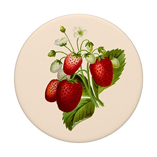Strawberry Pink Vintage Cottagecore Aesthetic PopSockets PopGrip: Swappable Grip for Phones & Tablets