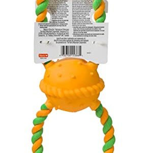 Hartz DuraPlay Bacon Scented Dog Toys, Medium/Large for All Breed Sizes