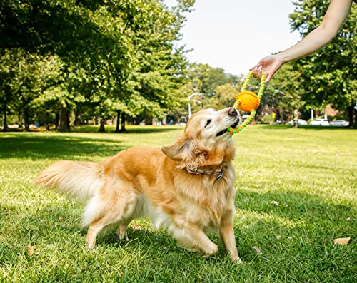 Hartz DuraPlay Bacon Scented Dog Toys, Medium/Large for All Breed Sizes