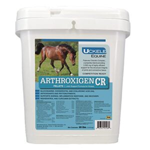 uckele arthroxigen pellets - joint supplement formula for horses - eqiune vitamin & mineral supplement - competition ready - 20 pound (lb)