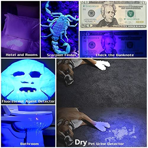 UV Flashlight Black Light, 100 LED Blacklight Flashlite Pet Urine Detector for Dry Dog/Cat Urine Stains Detection, Bed Bug, Scorpions Finder with UV Sunglasses, Working with Pet Odor Eliminator