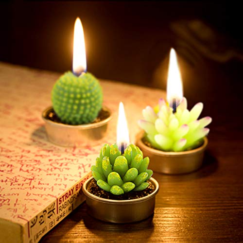 Glarks 12Pcs Unique Designs Cactus Tealight Candles Set, Handmade Delicate Succulent Cactus Artificial Succulents Tealight Candles Perfect for Birthday Party Valentine's Day Wedding Spa Home Decor