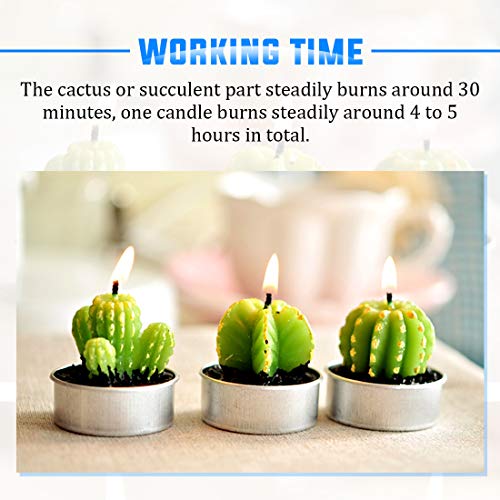 Glarks 12Pcs Unique Designs Cactus Tealight Candles Set, Handmade Delicate Succulent Cactus Artificial Succulents Tealight Candles Perfect for Birthday Party Valentine's Day Wedding Spa Home Decor