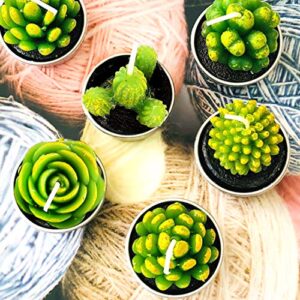 Glarks 12Pcs Unique Designs Cactus Tealight Candles Set, Handmade Delicate Succulent Cactus Artificial Succulents Tealight Candles Perfect for Birthday Party Valentine's Day Wedding Spa Home Decor