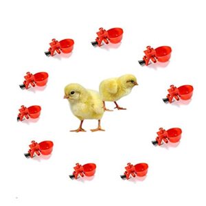 Walkingpround 10pcs Bird Cage Chick Coop Feed Quail Drinking Cups Chicken Water Bowl Pigeon Automatic Water Feeder Farm Animal Tool