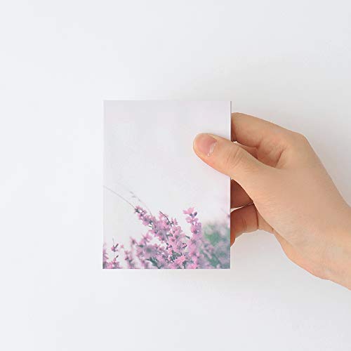 Monolike Memopad Spring Photo design SET - 4 Packs, 4 Different Designs, 100 Sheets Per Pad, Total 400 Sheets, Note pads, Writing pads, 3.15 x 4.17 Inches