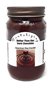 dark chocolate soy candle, better than sex, 16 oz 100% soy