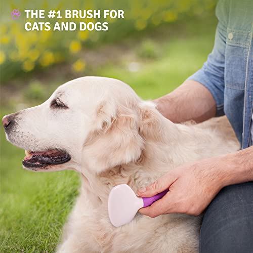 Poodle Pet Slicker Brush for Small and Large Dogs Pet Hair Remover | Effectively and Effortlessly Removes Tangles, Mats, and Loose Hair | for Short or Long Hair(Grooming Brush)