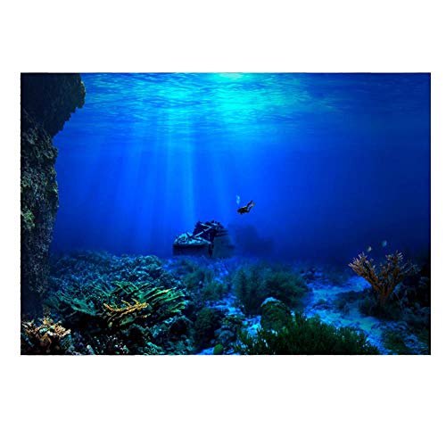 Huhushop Aquarium Background HD Undersea Coral Reef Photo Wall Paper Aquarium Fish Sea Mural XXL Undersea Underwater World Wall Decoration (61x41cm)