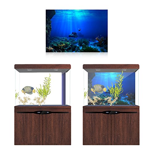 Huhushop Aquarium Background HD Undersea Coral Reef Photo Wall Paper Aquarium Fish Sea Mural XXL Undersea Underwater World Wall Decoration (61x41cm)