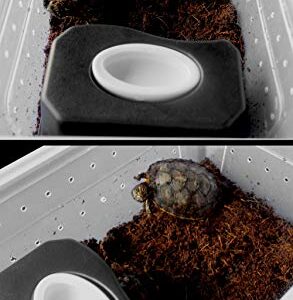 OMEM Small Reptiles Hide Caves, Climb Box Landscaping, Turtles Caves with Water Dish Suitable for Beard Dragons, Lizards, Snakes, Turtles, Spiders (Black)
