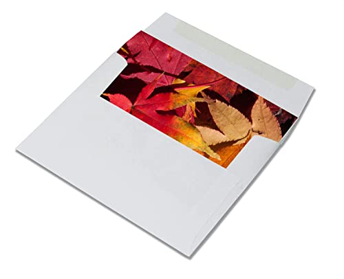 Fall Leaves Blank Note Cards - 12 Pack - Greeting Cards with Envelopes - 4 Unique Designs - 5.5"x4.25" (12 Pack)