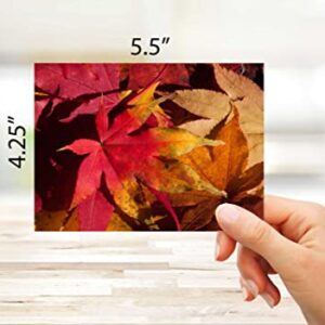 Fall Leaves Blank Note Cards - 12 Pack - Greeting Cards with Envelopes - 4 Unique Designs - 5.5"x4.25" (12 Pack)