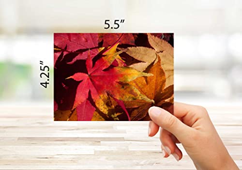 Fall Leaves Blank Note Cards - 12 Pack - Greeting Cards with Envelopes - 4 Unique Designs - 5.5"x4.25" (12 Pack)