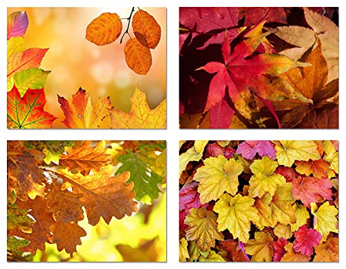 Fall Leaves Blank Note Cards - 12 Pack - Greeting Cards with Envelopes - 4 Unique Designs - 5.5"x4.25" (12 Pack)