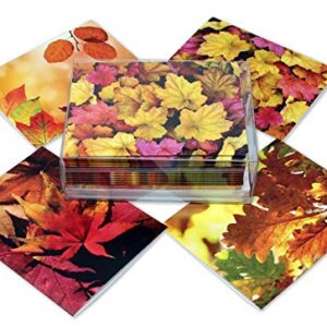 Fall Leaves Blank Note Cards - 12 Pack - Greeting Cards with Envelopes - 4 Unique Designs - 5.5"x4.25" (12 Pack)