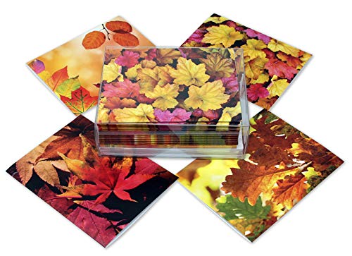 Fall Leaves Blank Note Cards - 12 Pack - Greeting Cards with Envelopes - 4 Unique Designs - 5.5"x4.25" (12 Pack)