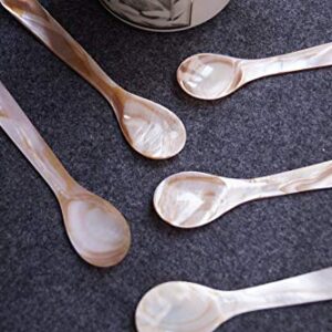 DUEBEL Set of 6 Mother of Pearl 3.55′′ Caviar Spoons for Caviar Serving or Egg Serving