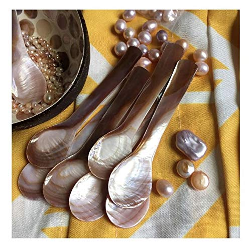 DUEBEL Set of 6 Mother of Pearl 3.55′′ Caviar Spoons for Caviar Serving or Egg Serving