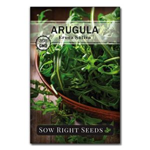sow right seeds - arugula seed for planting - non-gmo heirloom seeds with instructions to plant a kitchen herb garden, indoors or outdoor; great gardening gift