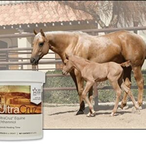 UltraCruz Ichthammol Ointment for Horses, 16 oz