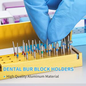 ANNWAH 4 Pcs 30 Holes Dental Bur Blocks - High Speed and Low Speed Diamond Bur Set Dental Lab Aluminum Bur Case Disinfection Opening Box Organizer Gold/Sliver/Blue/Purple