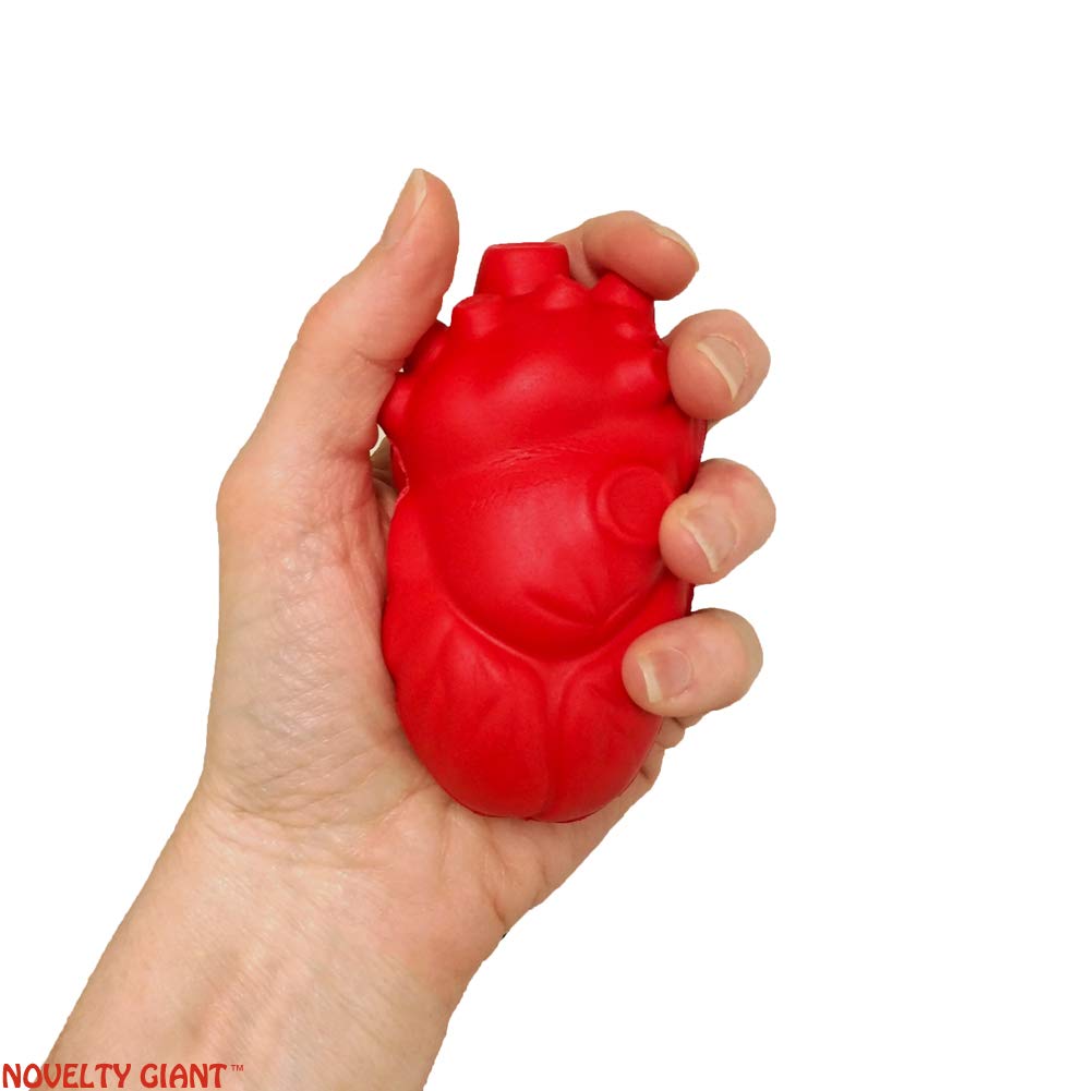 Stress Relief Squeezable Foam Brain & Heart