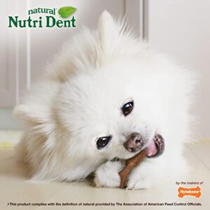 Nylabone Nutri Dent Filet Mignon Flavored Dog Dental Chews 32 Mini 1.75" Treats for Dogs 5-10 lbs.
